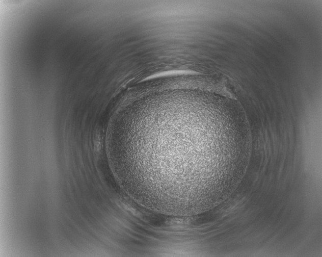 X0000058100084200510071858