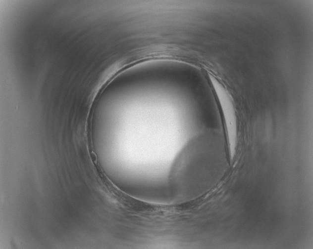 X0000058100099200510071857