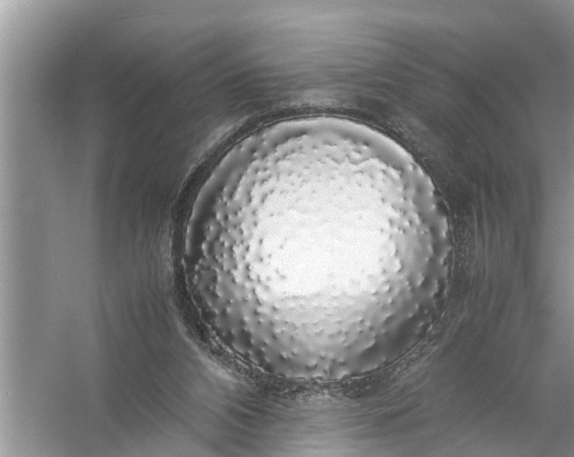 X0000058100112200510071857