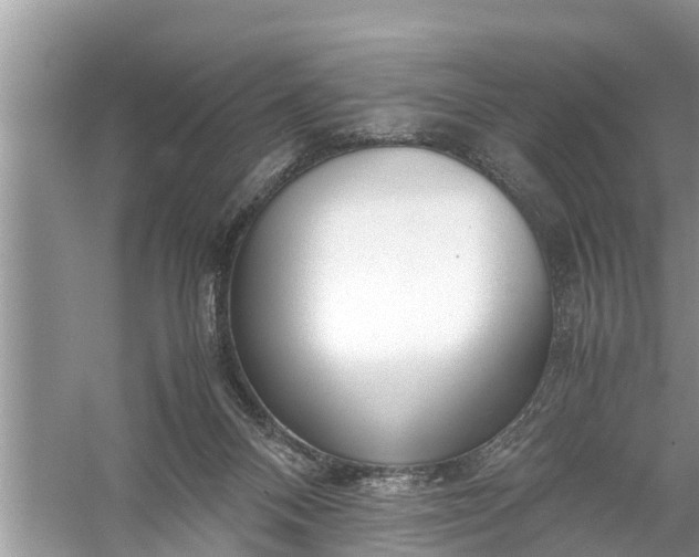 X0000058100120200510071857