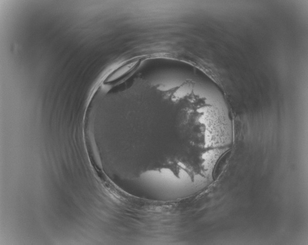 X0000058100147200510071856