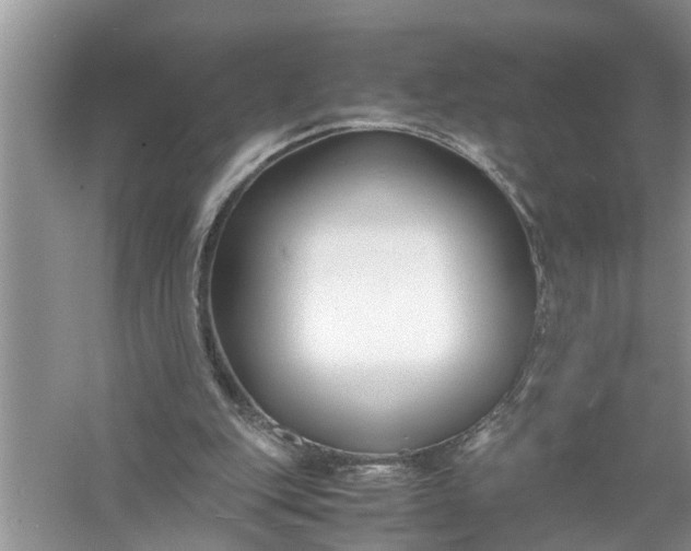 X0000058100151200510071856