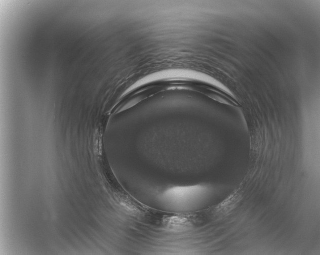 X0000058100180200510071856