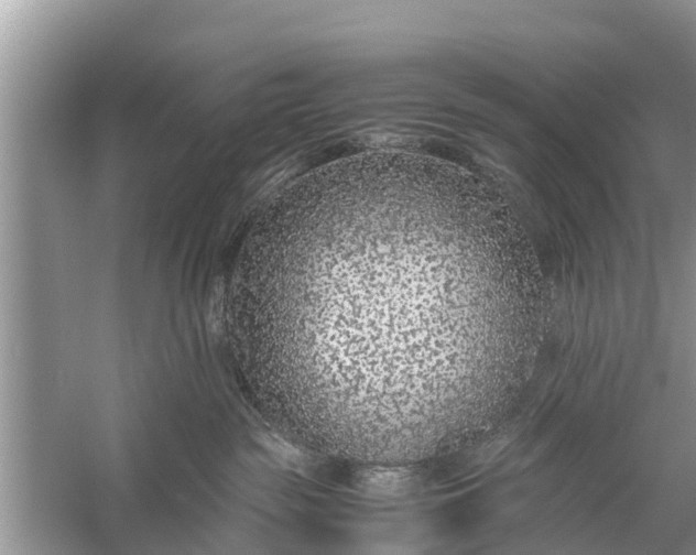 X0000058100189200510071856