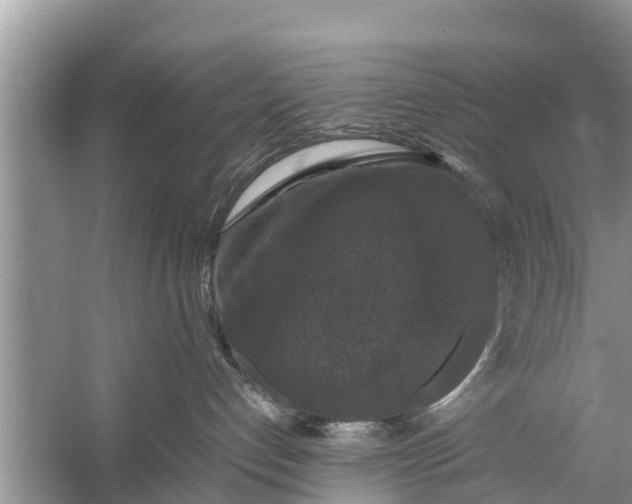 X0000058100192200510071857