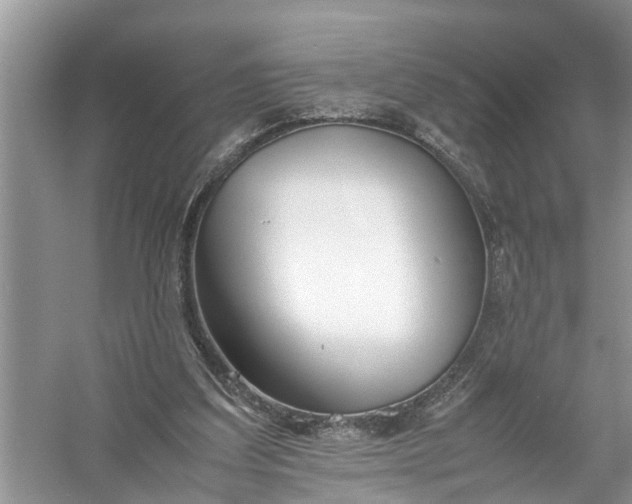 X0000058100203200510071856