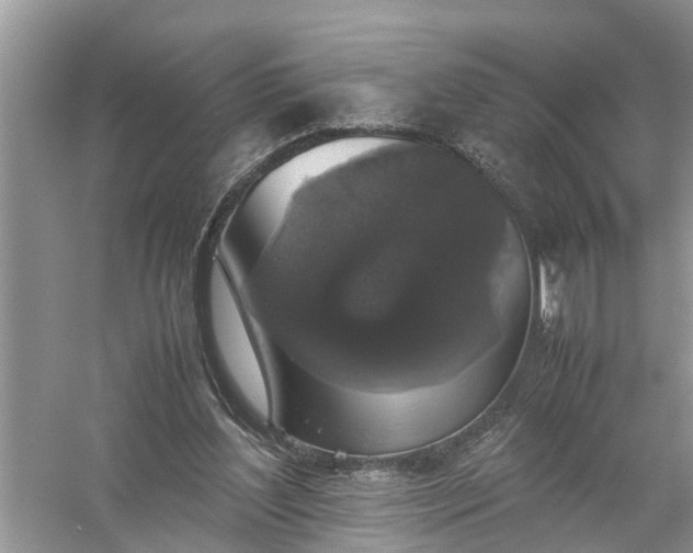 X0000058100204200510071856