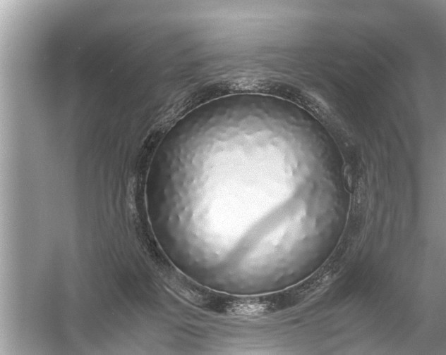 X0000058100217200510071855