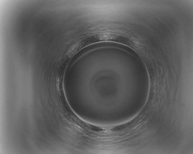 X0000058100219200510071855