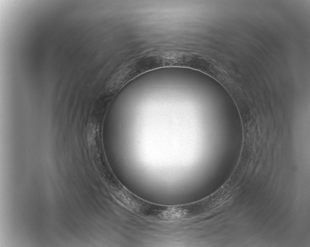 X0000058100225200510071855