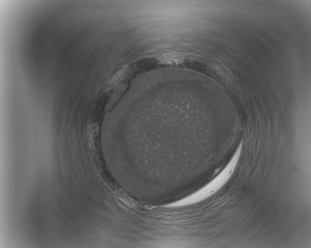 X0000058100229200510071855