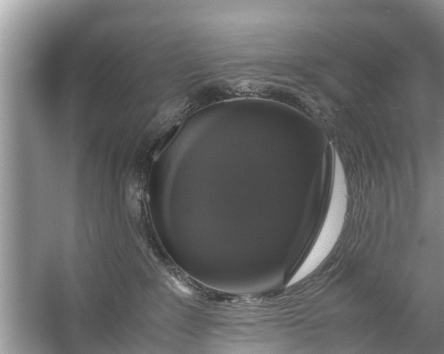 X0000058100235200510071855