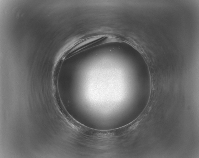 X0000058100245200510071854