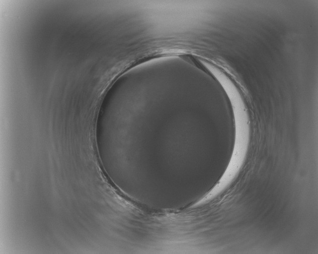 X0000058100385200510071852