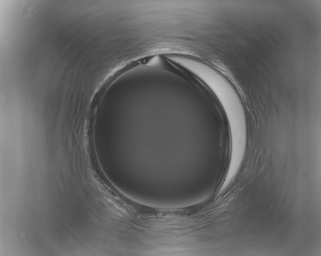 X0000058100387200510071852