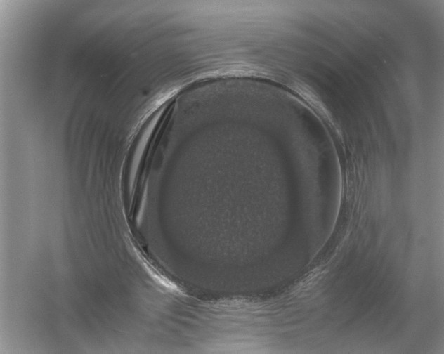 X0000058100389200510071852