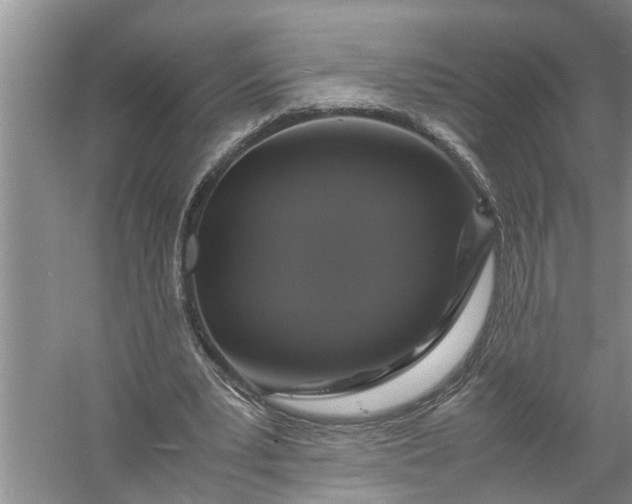 X0000058100391200510071852