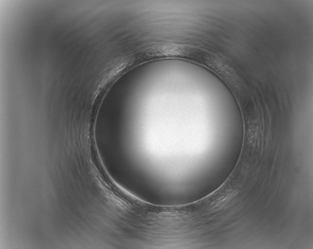 X0000058100394200510071852
