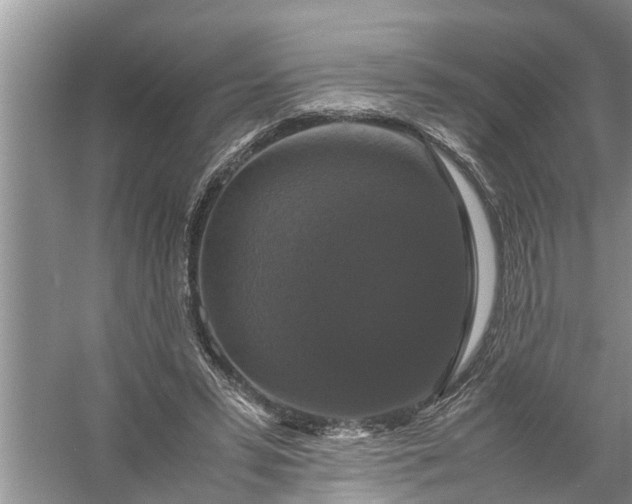 X0000058100399200510071852