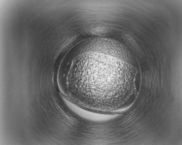 X0000058100404200510071852