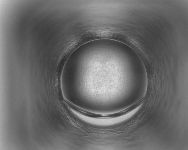 X0000058100407200510071852