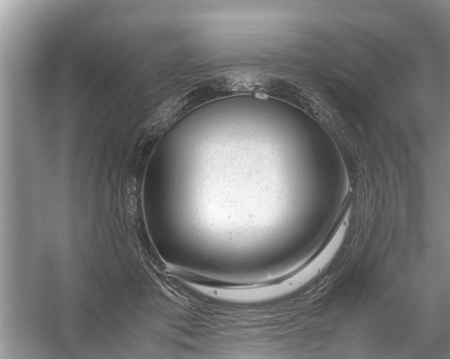X0000058100413200510071852