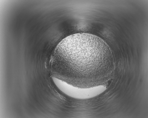 X0000058100424200510071852