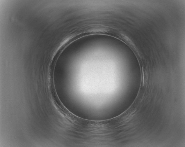 X0000058100435200510071851