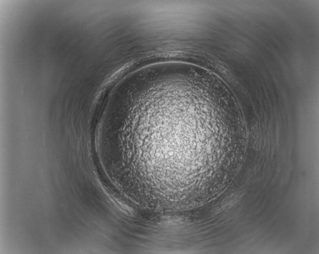 X0000058100442200510071851