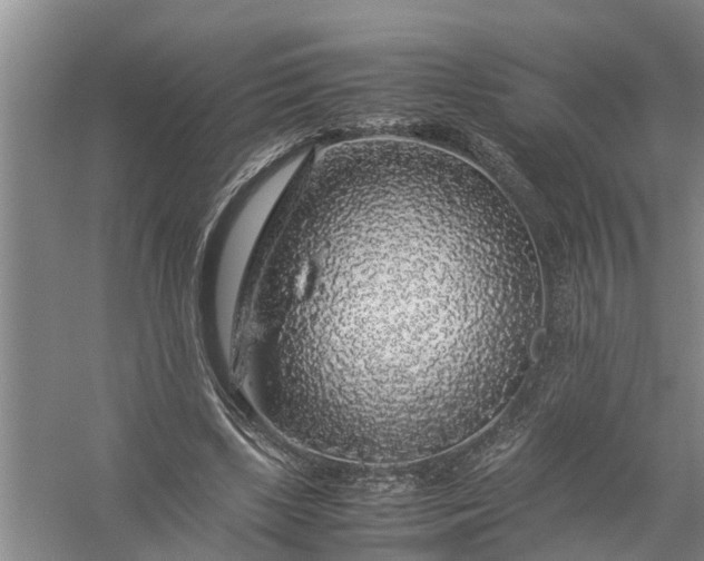 X0000058100443200510071851