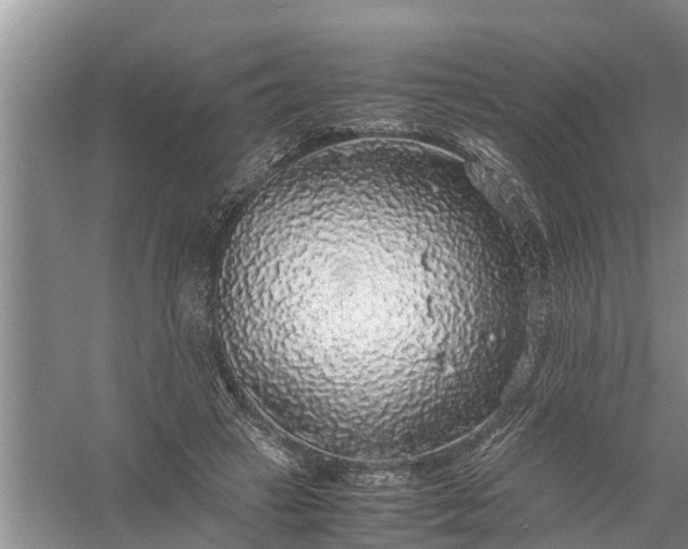 X0000058100449200510071851
