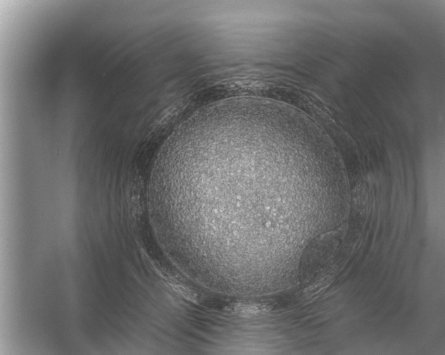 X0000058100464200510071851