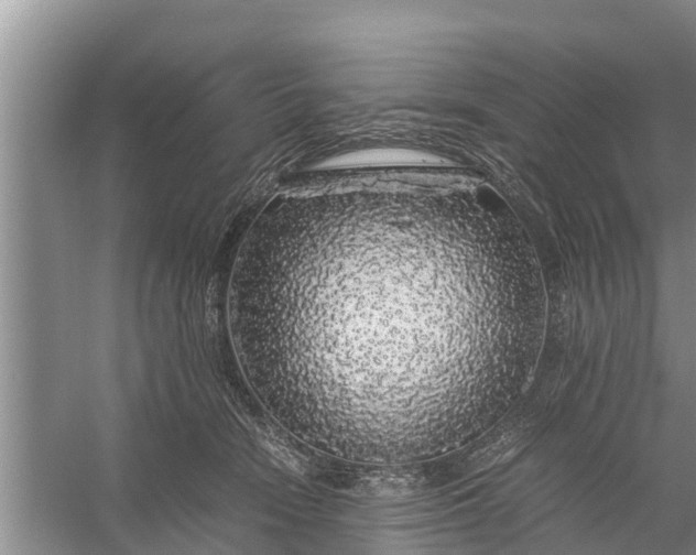 X0000058100466200510071851