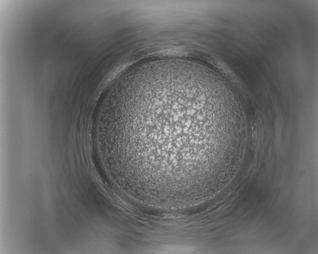 X0000058100487200510071851