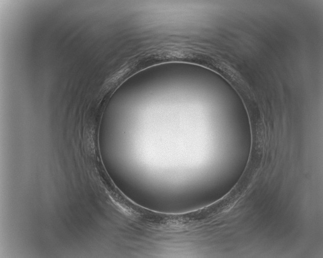 X0000058100489200510071851