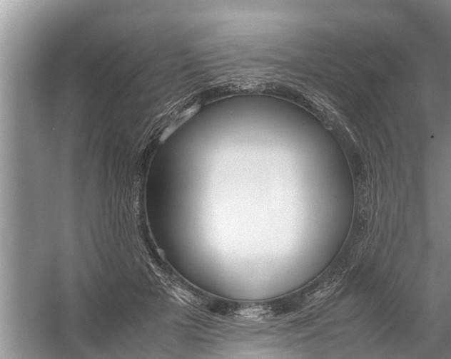 X0000058100505200510071850