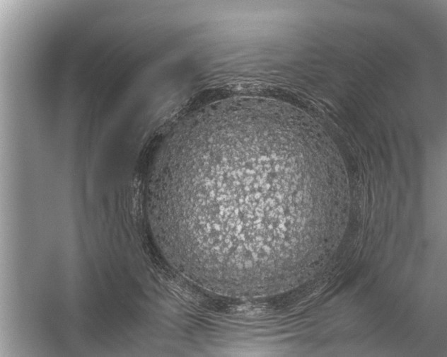 X0000058100511200510071850