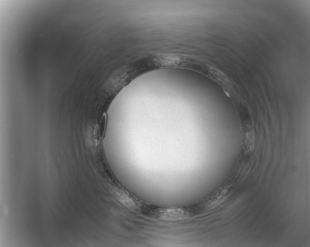 X0000058100525200510071850