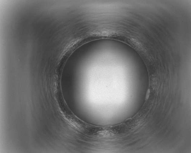 X0000058100544200510071849