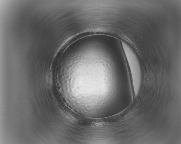 X0000058100584200510071849