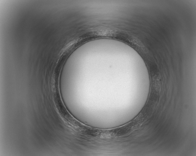 X0000058100587200510071849