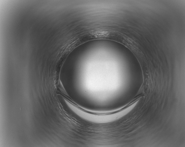 X0000058100604200510071849