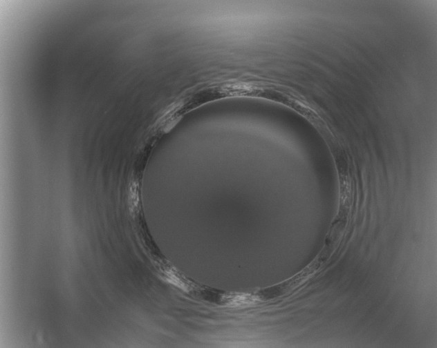 X0000058100621200510071848