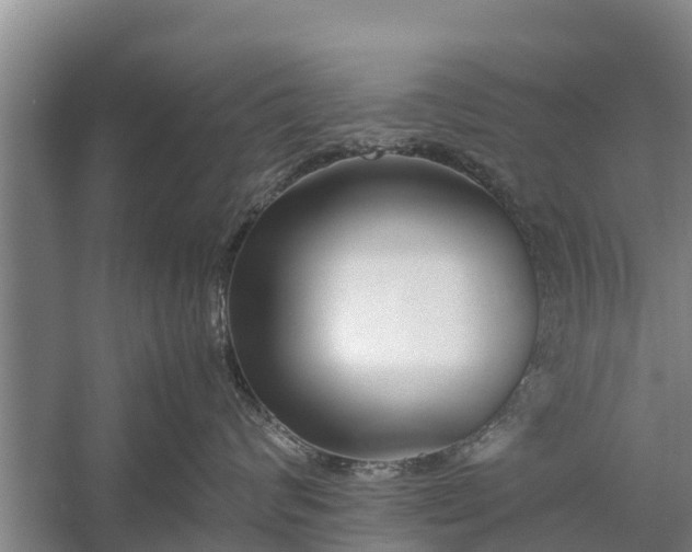 X0000058100624200510071848