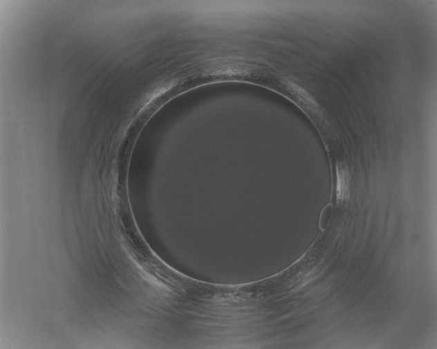 X0000058100627200510071848