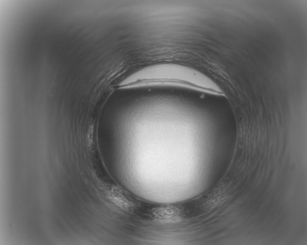 X0000058100652200510071848