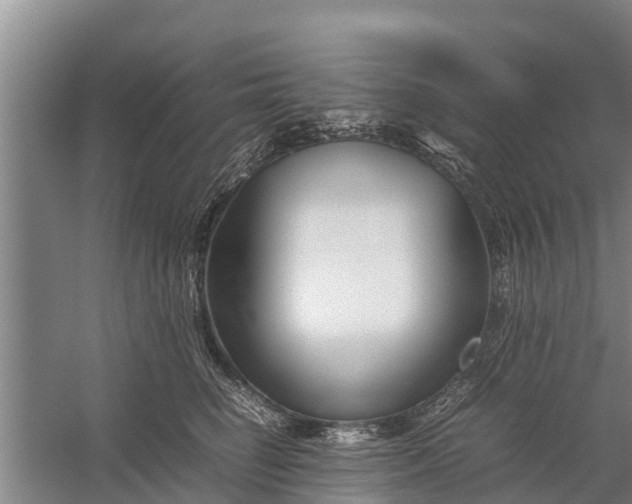 X0000058100662200510071848