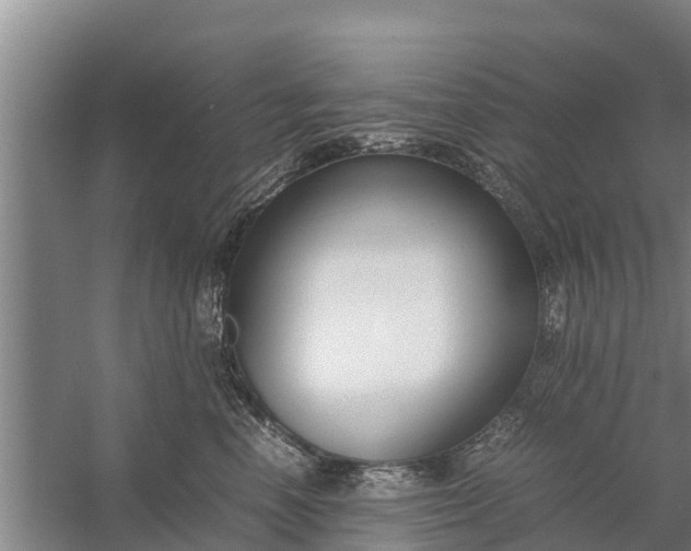 X0000058100666200510071848