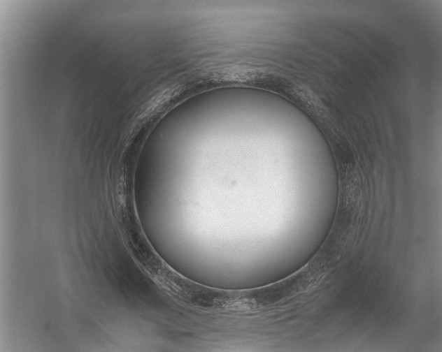 X0000058100683200510071847