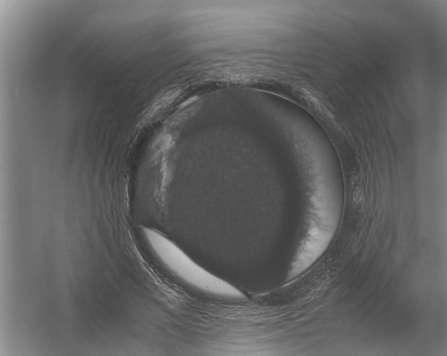 X0000058100685200510071847